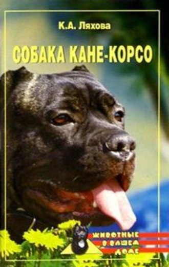 . Собака Кане-Корсо