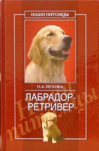 Олеся Пухова. Лабрадор ретривер