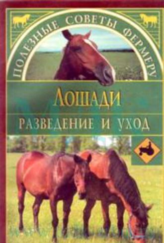 . Лошади