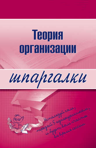 . Теория организации
