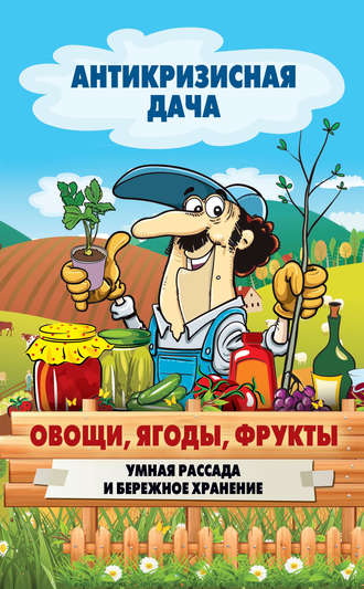 . Овощи, ягоды, фрукты. Умная рассада и бережное хранение