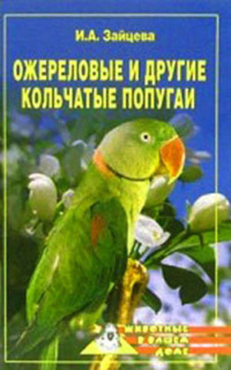. Ожереловые и другие кольчатые попугаи