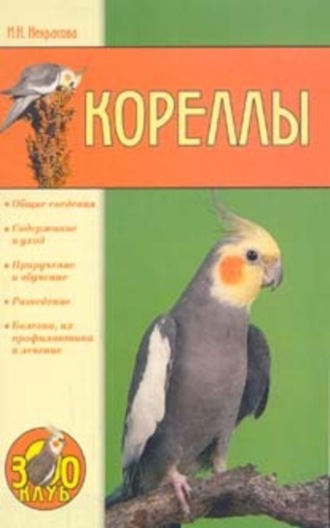 . Кореллы
