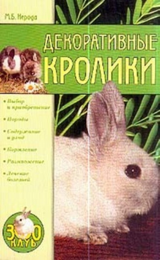 . Декоративные кролики