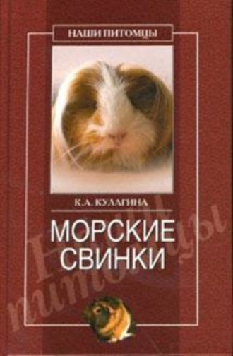 Кристина Александровна Кулагина. Морские свинки