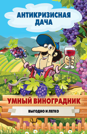 . Умный виноградник. Выгодно и легко