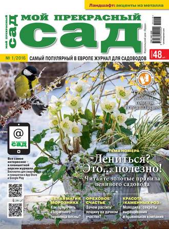 . Мой прекрасный сад №01/2016