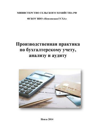 Н. Н. Бондина. Производственная практика по бухгалтерскому учету, анализу и аудиту