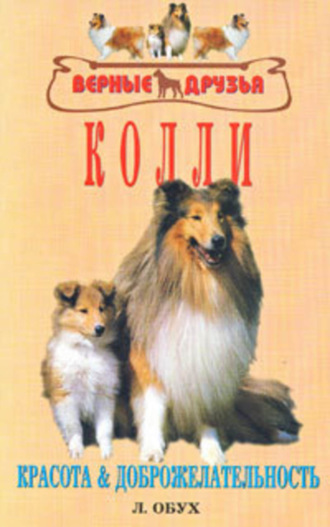 . Колли
