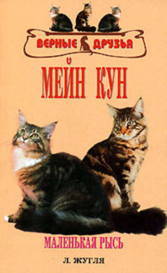 . Мейн кун
