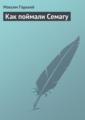 . Как поймали Семагу