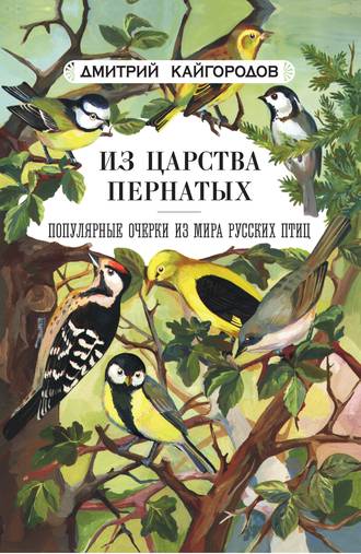 . Из царства пернатых. Популярные очерки из мира русских птиц