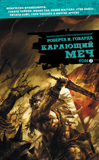 . Карающий меч. Том 2