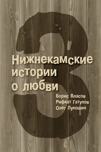 Борис Власов. 3 Нижнекамские истории о любви (сборник)