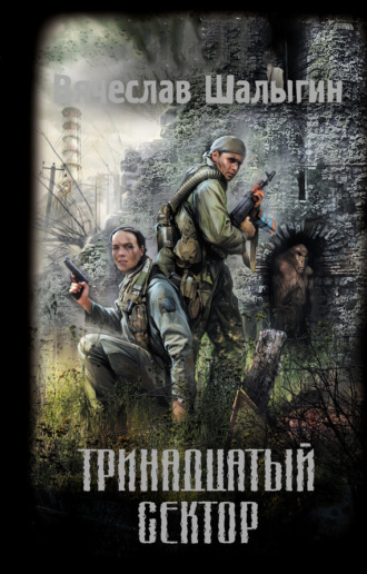 . Тринадцатый сектор
