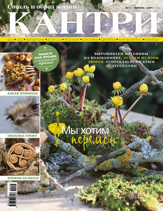 . Кантри. Стиль и образ жизни. №1/2016