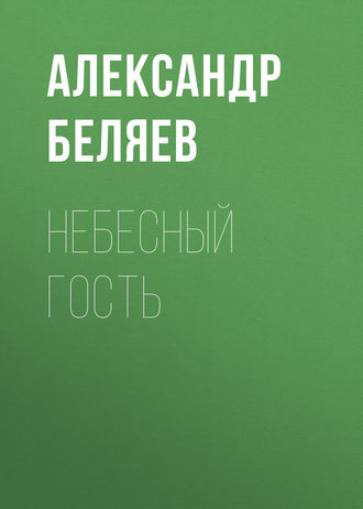 . Небесный гость