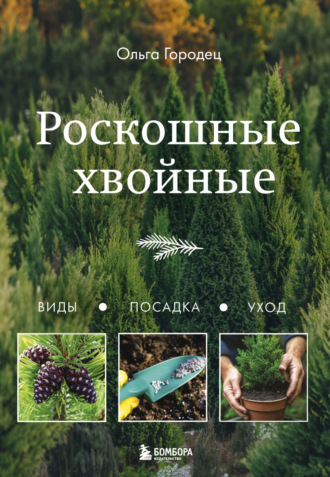 . Роскошные хвойные. Виды, посадка, уход