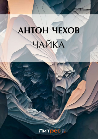 . Чайка