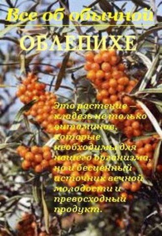 Иван Дубровин. Все об обычной облепихе