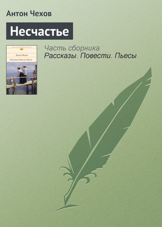 . Несчастье