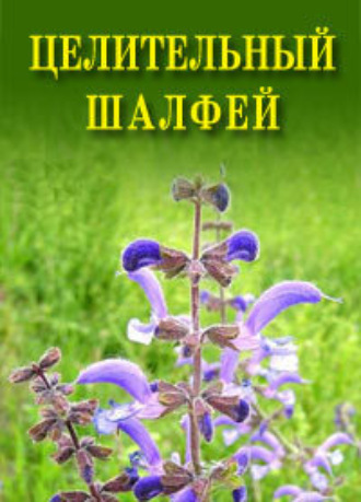 Иван Дубровин. Целительный шалфей