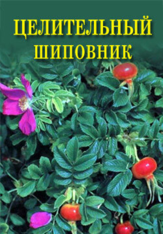 Иван Дубровин. Целительный шиповник