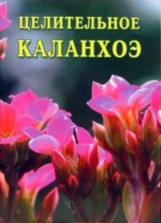 Иван Дубровин. Целительное каланхоэ