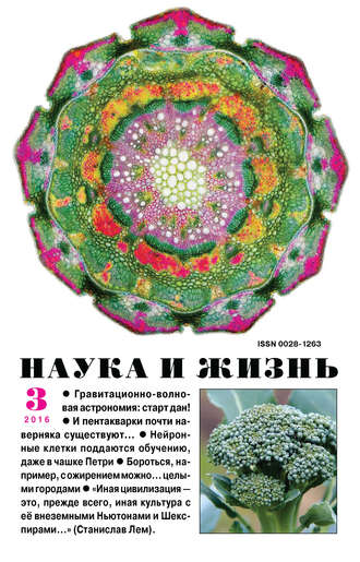 . Наука и жизнь №03/2016