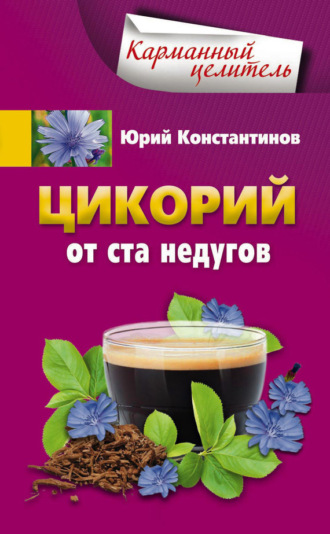 . Цикорий от ста недугов