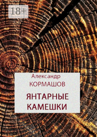 Александр Кормашов. Янтарные камешки. рассказы