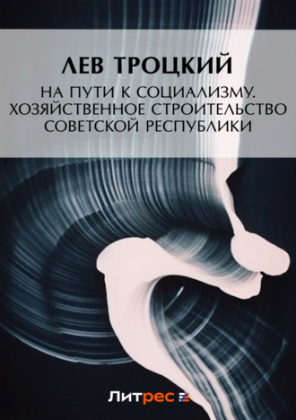 . На пути к социализму. Хозяйственное строительство Советской республики