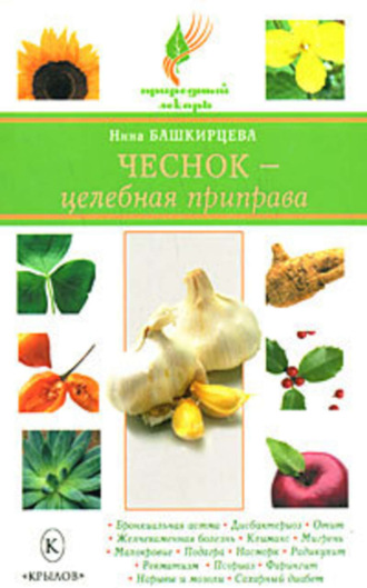 . Чеснок – целебная приправа