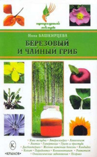 . Березовый и чайный гриб