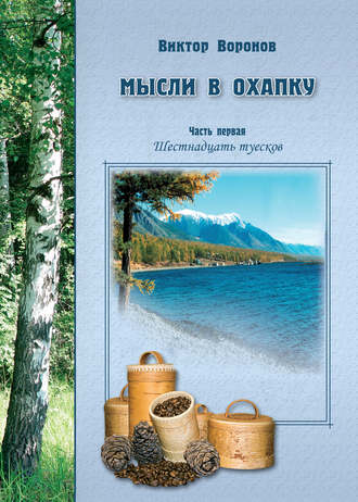 . Мысли в охапку. Часть первая. Шестнадцать туесков