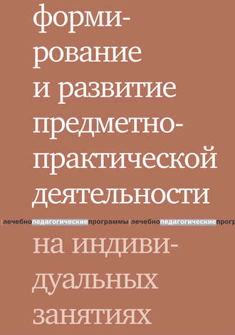 . Формирование и развитие предметно-практической деятельности на индивидуальных занятиях