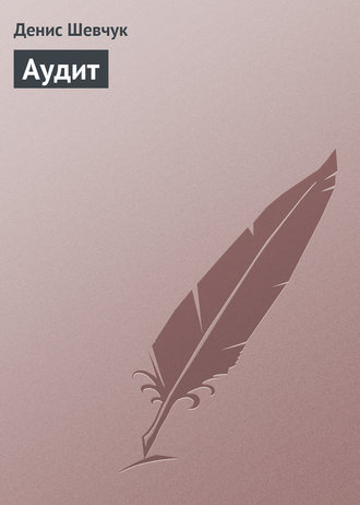 . Аудит