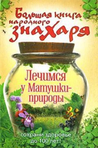 . Большая книга народного знахаря. Лечимся у Матушки-природы