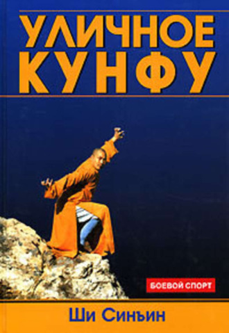 . Уличное кунфу