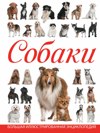 . Собаки