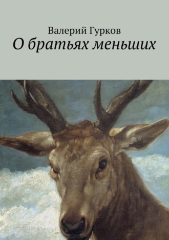 . О братьях меньших