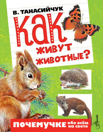 . Как живут животные?