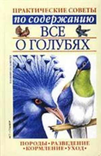. Все о голубях