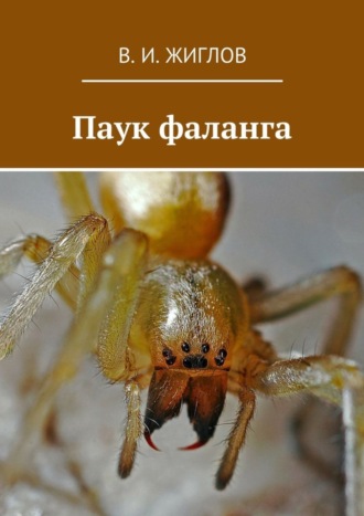 В. И. Жиглов. Паук фаланга