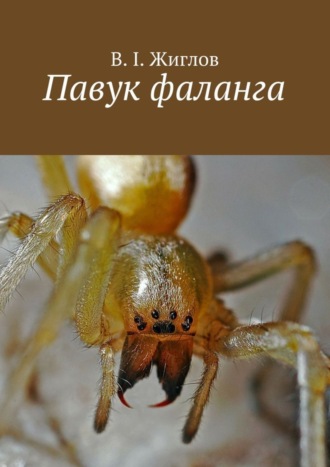 В. И. Жиглов. Павук фаланга