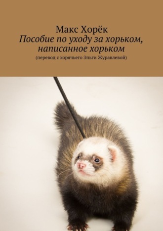 . Пособие по уходу за хорьком, написанное хорьком