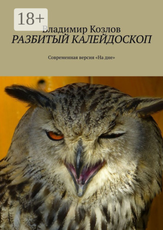Владимир Козлов. Разбитый калейдоскоп. Современная версия «На дне»