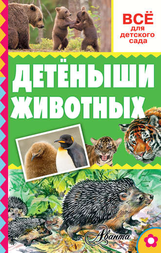 . Детёныши животных