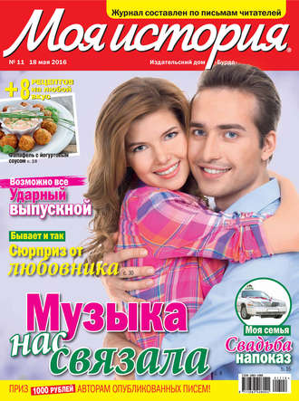 . Журнал «Моя история» №11/2016