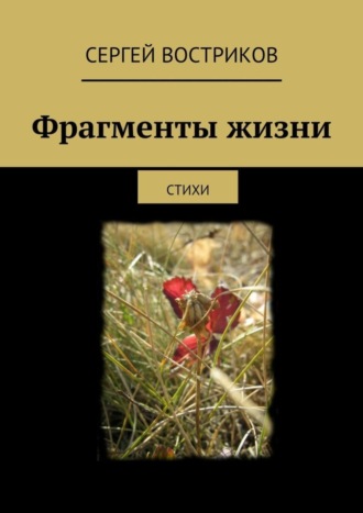 . Фрагменты жизни. стихи